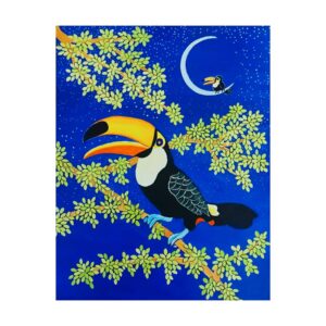 Tucano na Lua